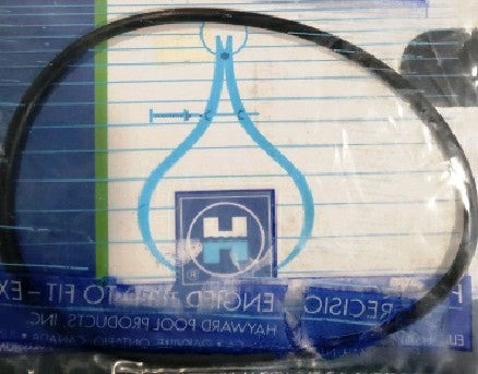 Hayward CX120D O-RING