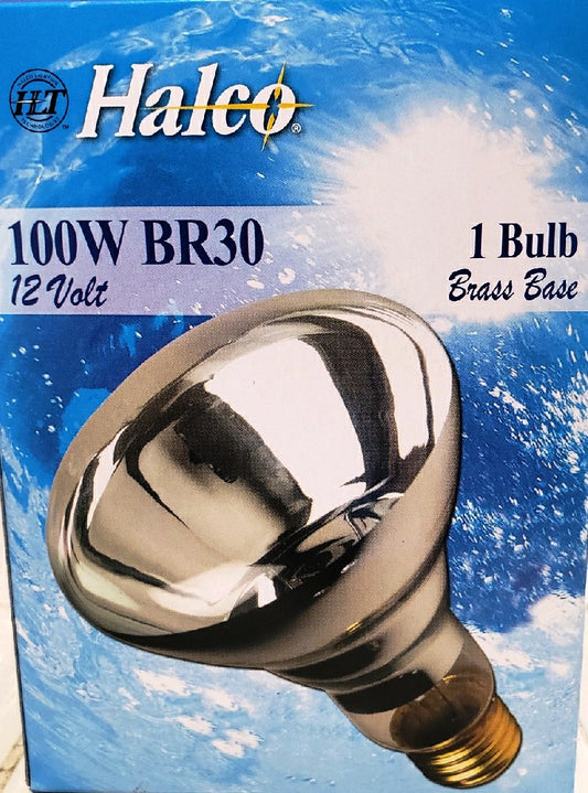 BR30 Clear Pool Lamp 100W 12V