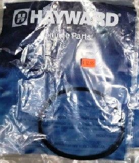 Hayward SPX0125T Cover Gasket