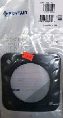 Pentair C20-123 Suction Gasket