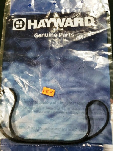 Hayward SPX3000T Housing Gasket