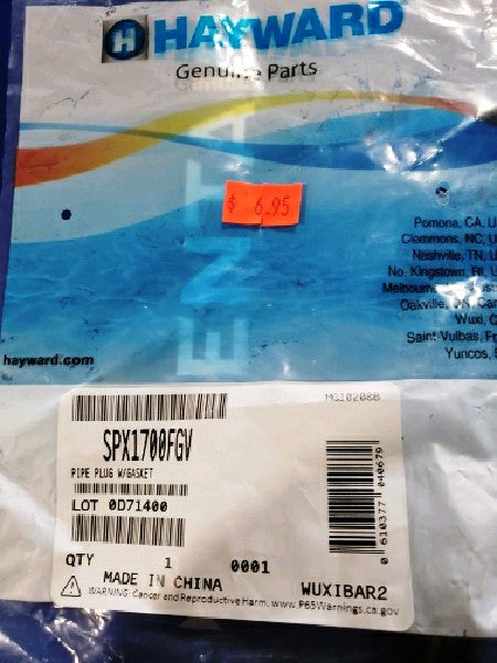 Hayward SPX1700FGV Pipe Plug W/Gasket