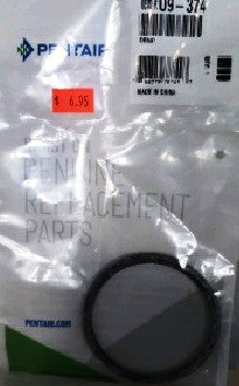 Pentair U9-374 O-Ring