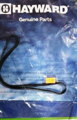Hayward CX250F Filter Gasket