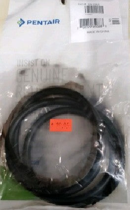 Pentair O-Ring