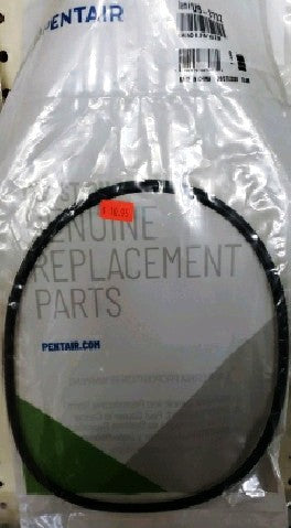 Pentair U9-373Z O-Ring