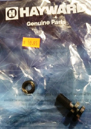 Hayward ECX1322A Vent Valve W/O-Ring